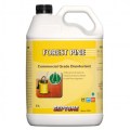 Forest Pine 5L2